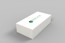 礼盒外包装样机