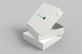 方形包装盒样机