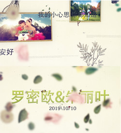 唯美婚礼相册AE模板