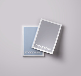 智能对象 样机 贴图  画册