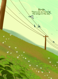 电线杠上的鸟儿