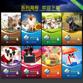 宠物海报
