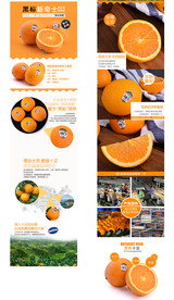 橙子详情页