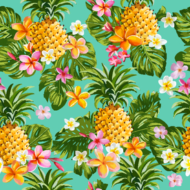 菠萝AI矢量图片素材