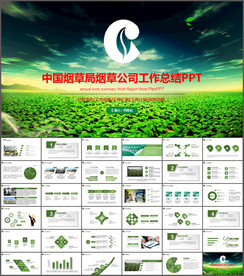 中国烟草局烟草公司工作PPT