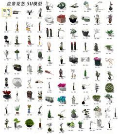 花艺SU模型
