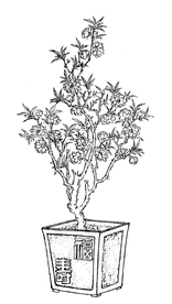 中国古典元素 中国元素 吉祥元