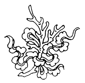 古代纹理 吉祥图案 伏羲八卦