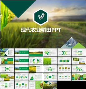 稻田生态农业新农村旅游PPT
