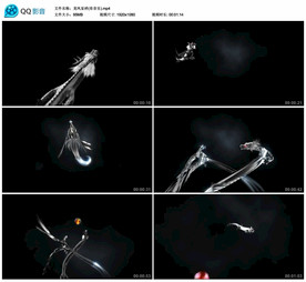 龙凤呈祥 飞龙舞台背景视频素材