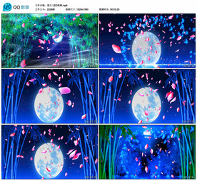 望月傣族舞蹈 舞台背景视频成品