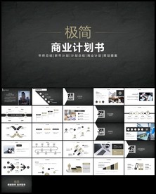 稳重内容详细商业计划书ppt