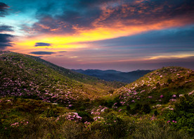 井冈山  江西哟