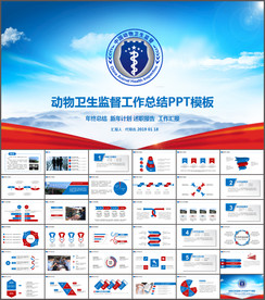 中国动物卫生监督总结ppt