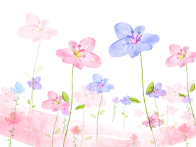 水彩花背景图片大全 水彩花背景设计素材 水彩花背景模板下载 水彩花背景图库 昵图网soso Nipic Com