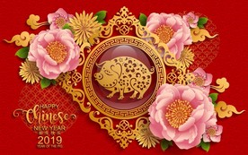 2019春节猪年中国年创意海报