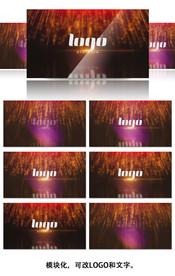 漂亮的粒子花火标志入场动画AE