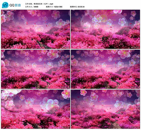 唯美桃花林 舞台舞美背景视频