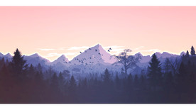 矢量绘画落日风景森林鸟