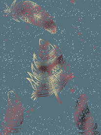 星空 羽毛 树叶