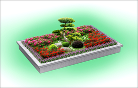 花坛效果图