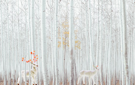 雪白清爽白桦树梅花鹿背景墙