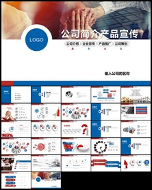 清爽简约大气公司简介ppt