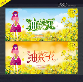油菜花