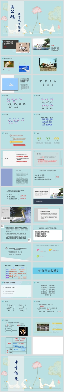 小学语文课文《白公鹅》教育教学
