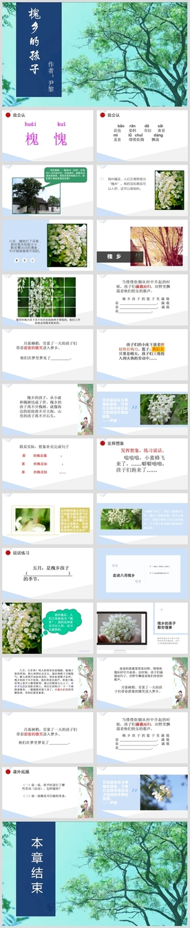 小学语文课文《槐乡的孩子》教育