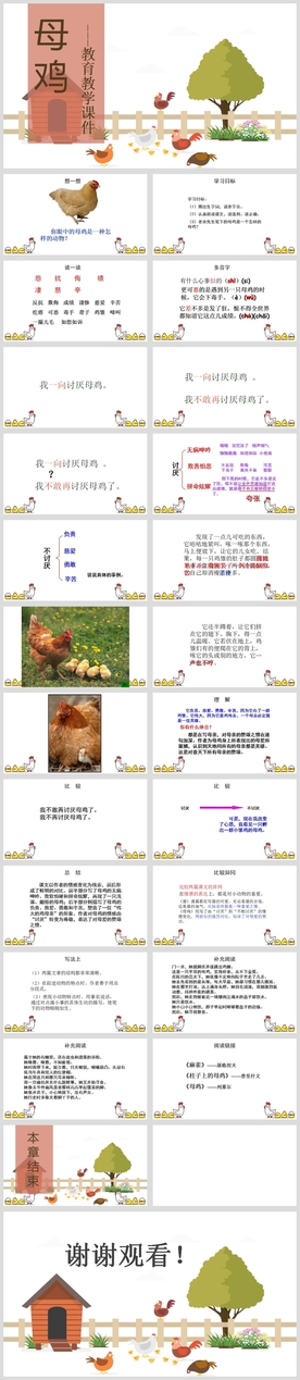 小学语文课文《母鸡》教育教学