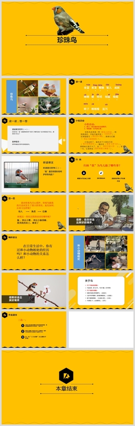 小学语文课文《珍珠鸟》教育教学