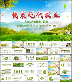 农业玉米种子新农村动态PPT