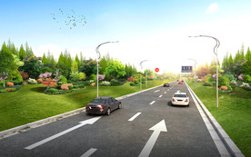 道路绿化