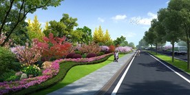 道路绿化