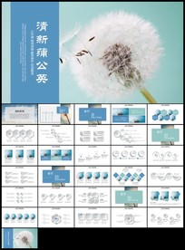 蓝色蒲公英唯美蒲公英教育培训