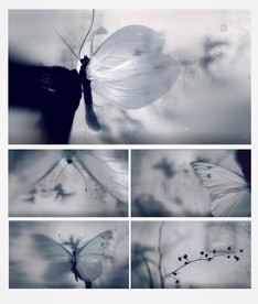 清明节水墨丹青蝴蝶唯美大气