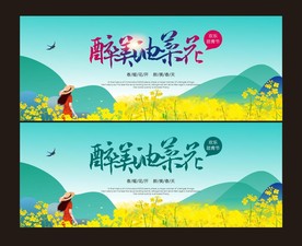 油菜花