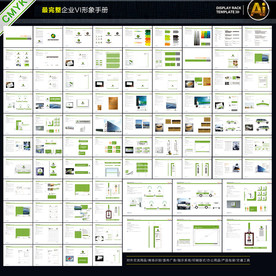 全套企业VIS手册