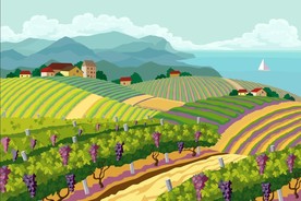 有机农场插画插图