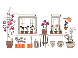 花卉花朵植物插画插图