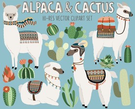 卡通羊驼插画插图