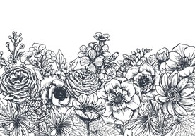 手绘花卉植物插画插图