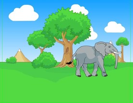 非洲草原上出现的大象走路10秒