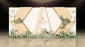 香槟色婚礼留影区