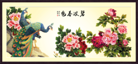 碧波春色 孔雀牡丹图