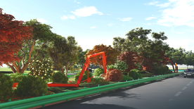 美丽乡村道路绿化