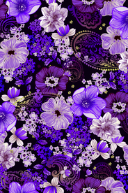 大花 鲜花 花朵 腰果花