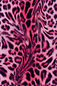 豹纹 彩色豹纹 换色豹纹