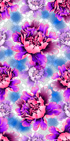 大花 牡丹花 鲜花  花朵